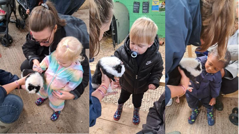 Godstone Farm